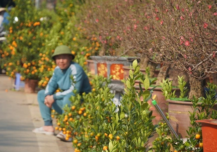 Hình minh họa câu hỏi